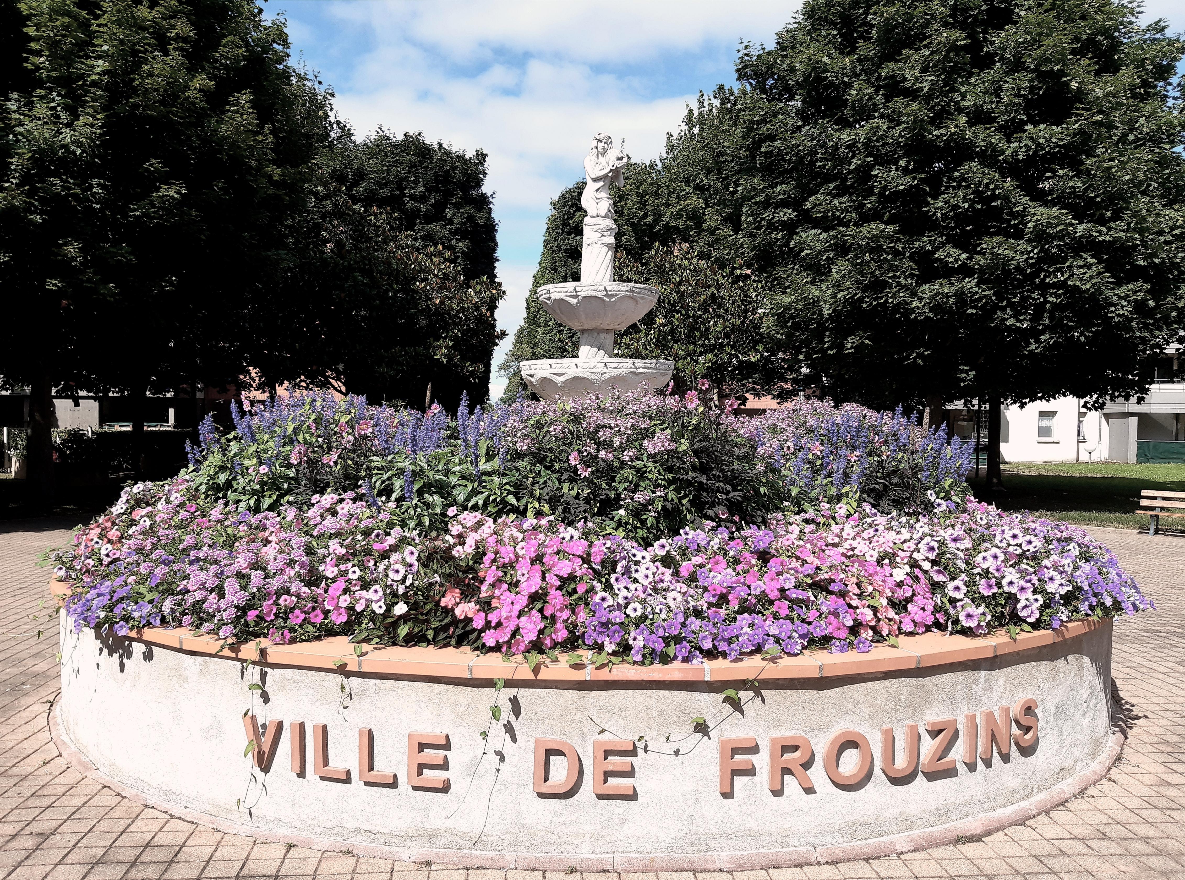 Frouzins