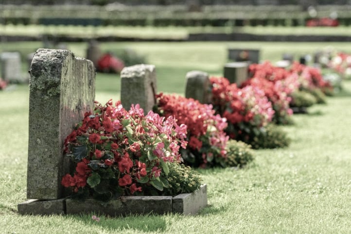 Exemples de fleurs pour une tombe selon la saison