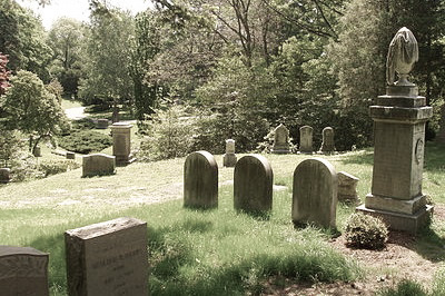 Ecologie et décès : le cimetière zéro-phyto